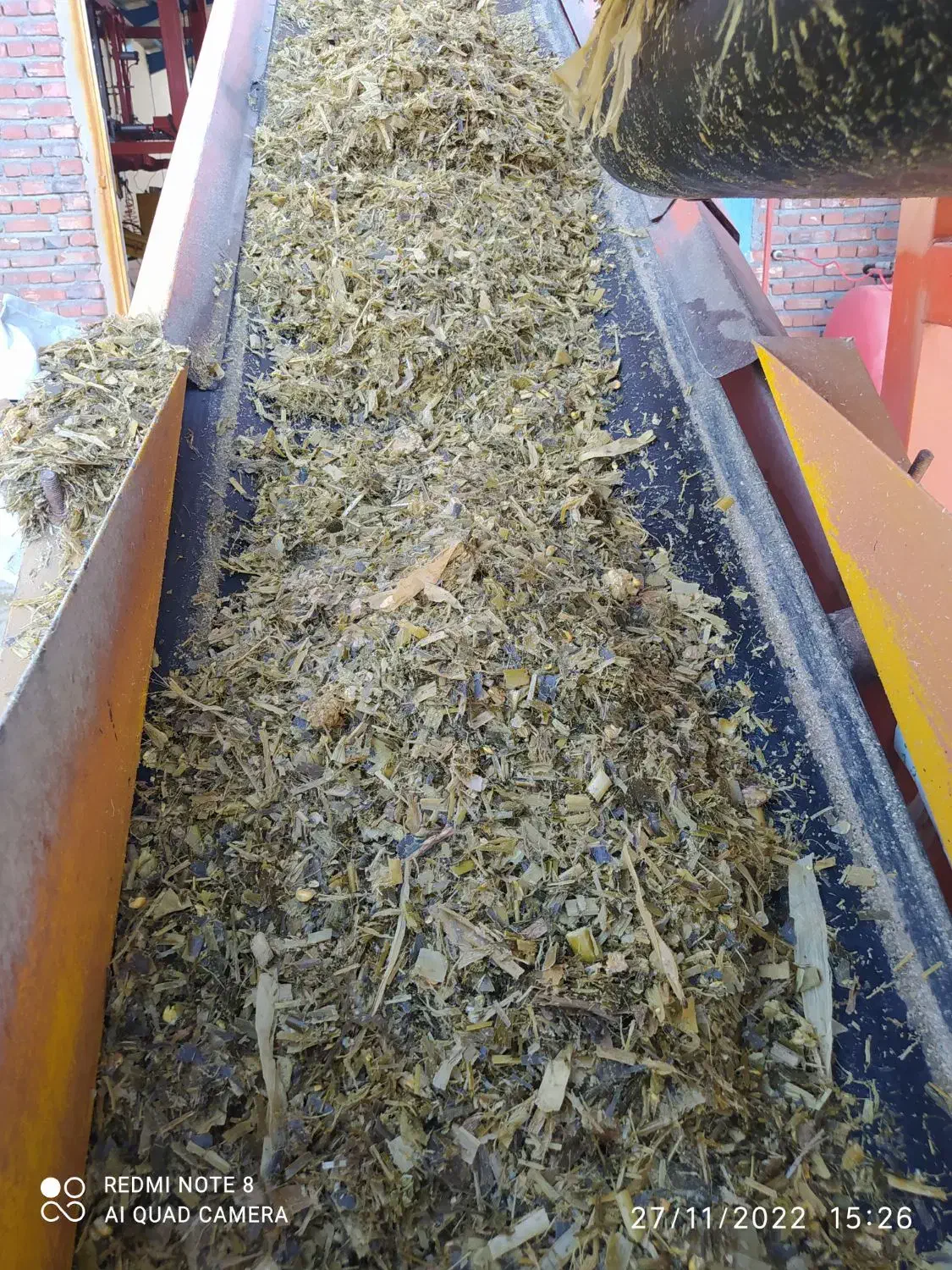 علوفه‌ذرت‌ ‌|عمده‌فروشی|میاندوآب, |دیوار