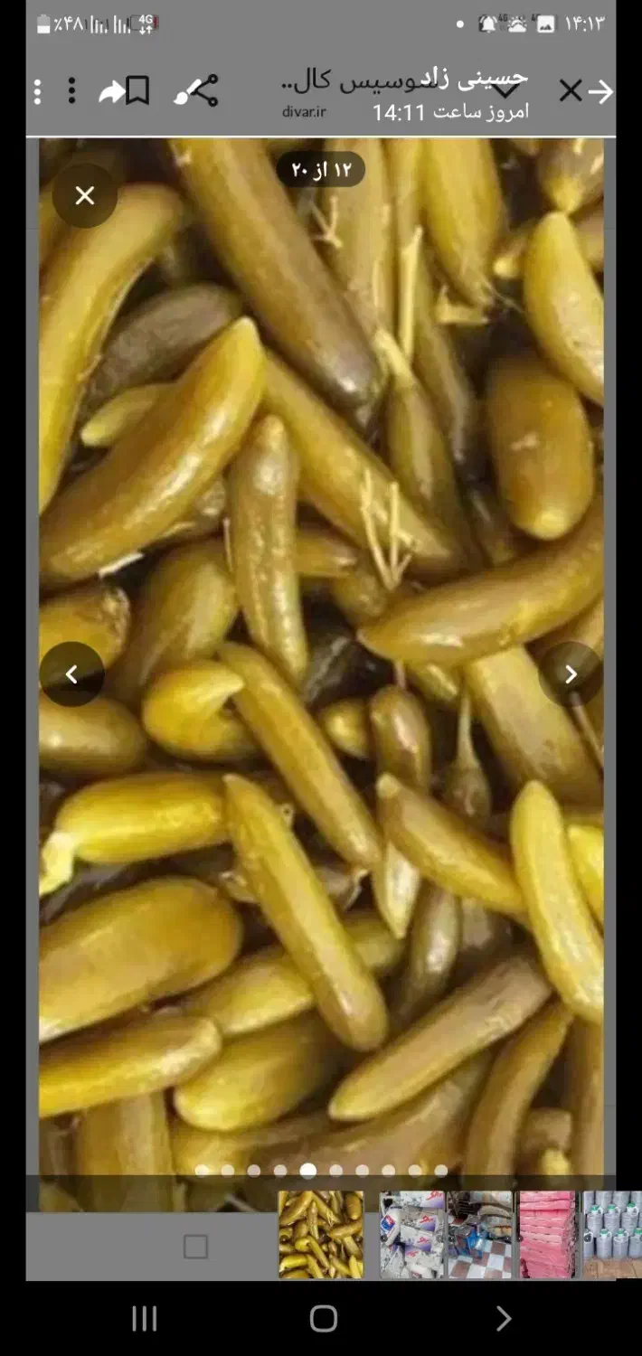 رب خانگی تن ماهی برنج|خوردنی و آشامیدنی|سبزوار, مدرس|دیوار