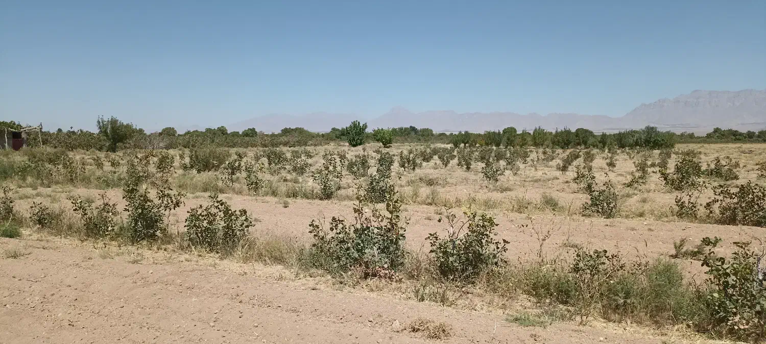 زمین و آب کشاورزی|فروش دفتر صنعتی، کشاورزی، تجاری|مهریز, |دیوار