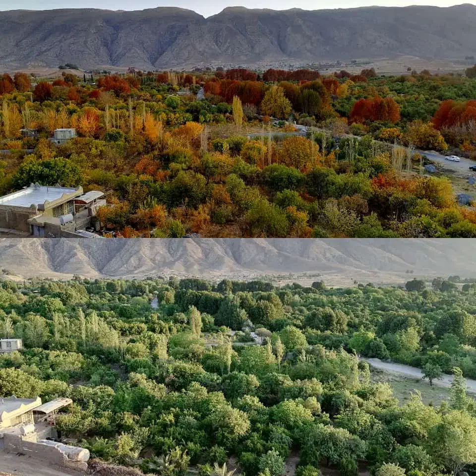 باغ|فروش دفتر صنعتی، کشاورزی، تجاری|خفر, |دیوار