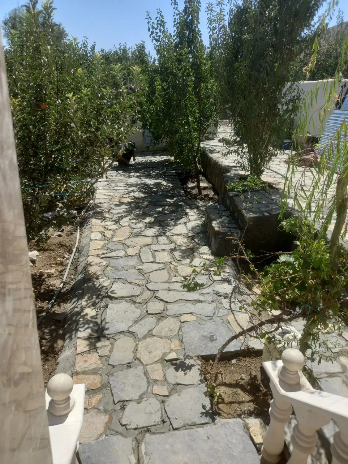 بنایی و محوطه سازی|خدمات پیشه و مهارت|همدان, |دیوار