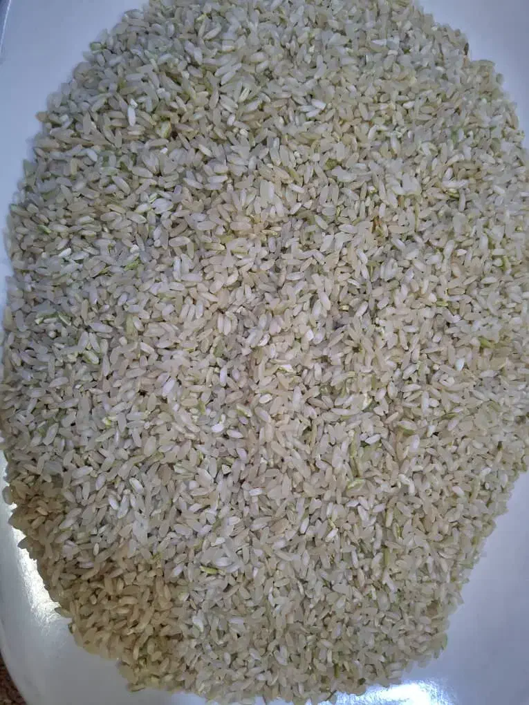برنج چمپا محلی عنبر بو|خوردنی و آشامیدنی|شهرکرد, |دیوار