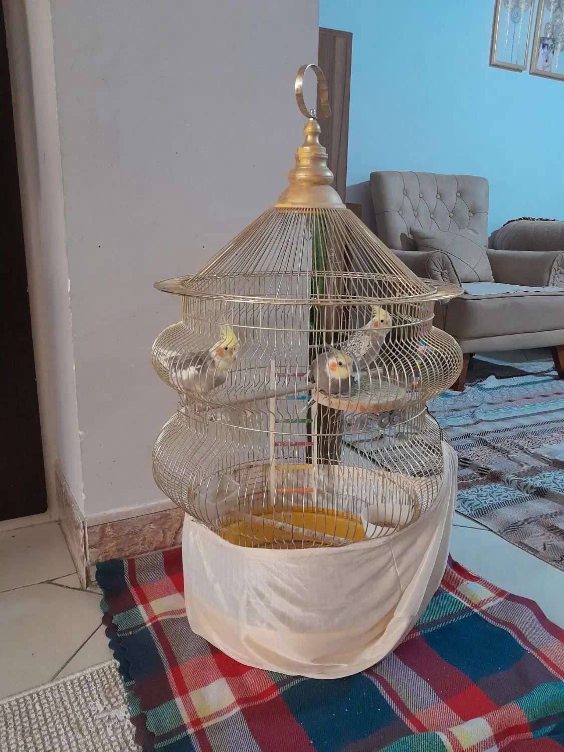 سه عدد عروس بازی گوش|پرنده|نسیم‌شهر, |دیوار