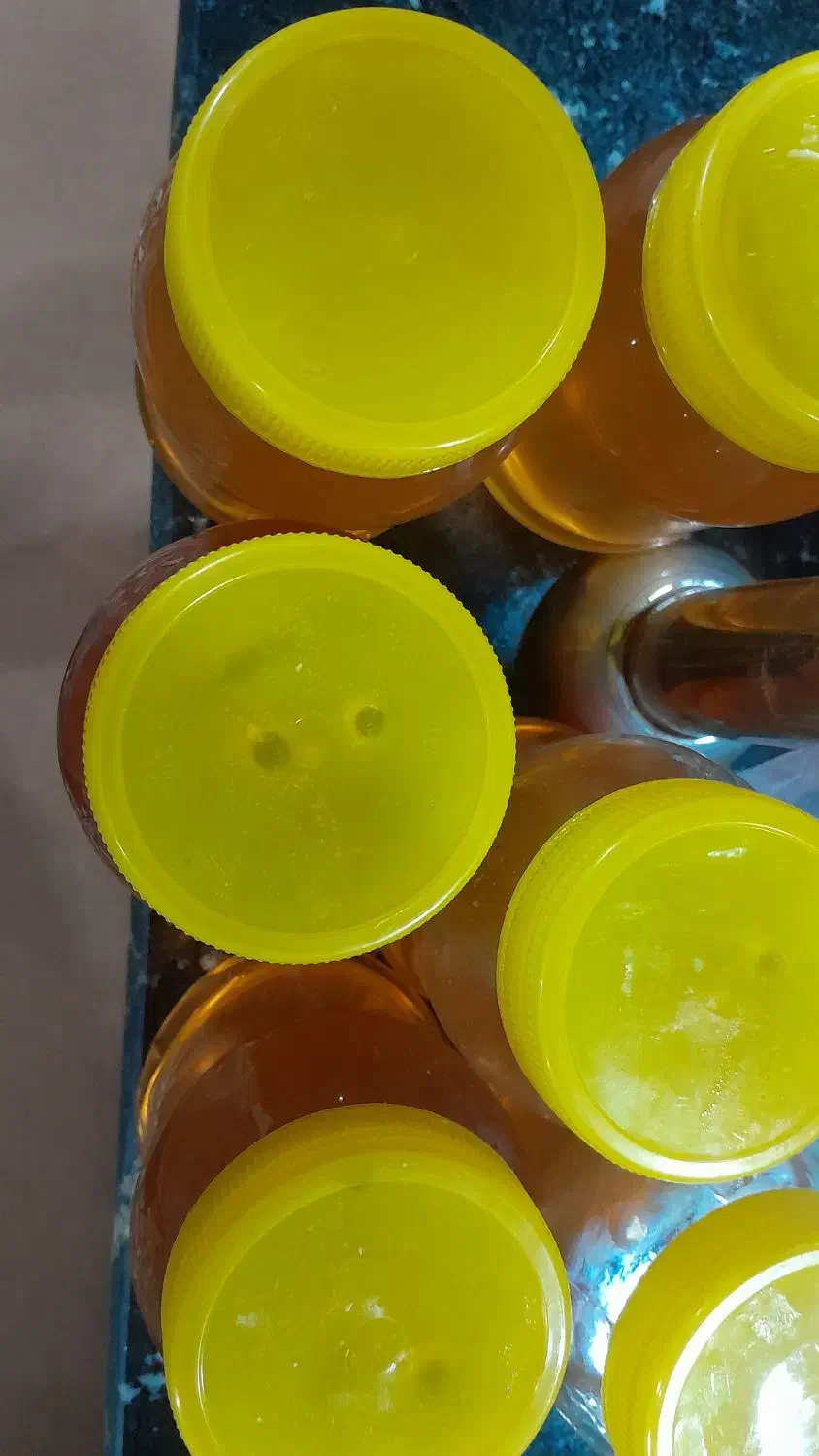 عسل کنار و عسل گون اصل|عمدهفروشی|عسلویه, |دیوار