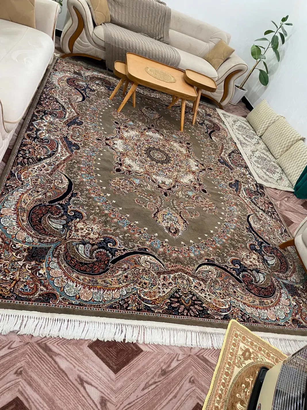 قالی ۷۰۰ شانه ۹ متری|فرش|رامشیر, |دیوار