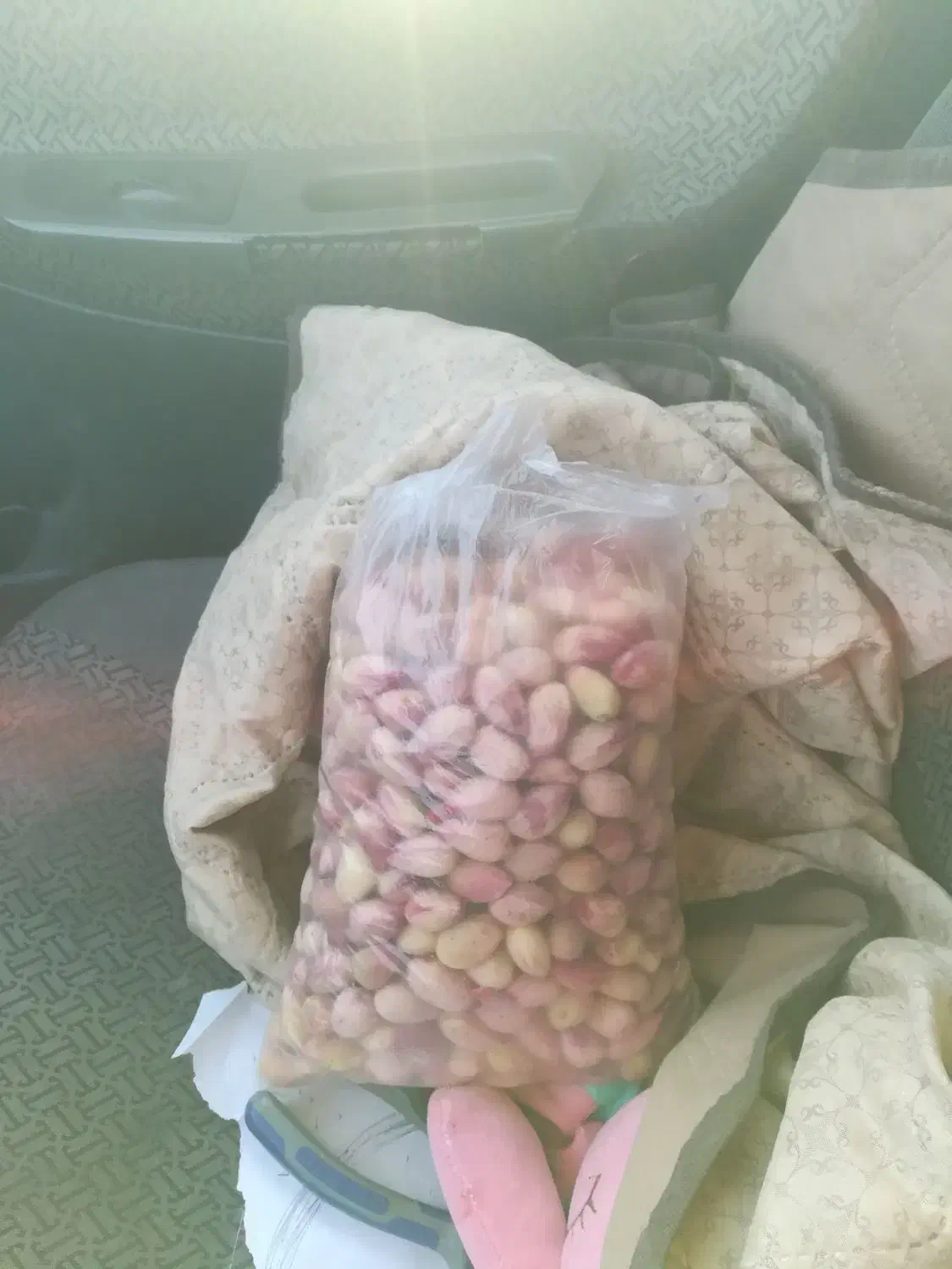 باغ پسته بارده حبیب آباد|فروش خانه و ویلا|حبیب آباد, |دیوار