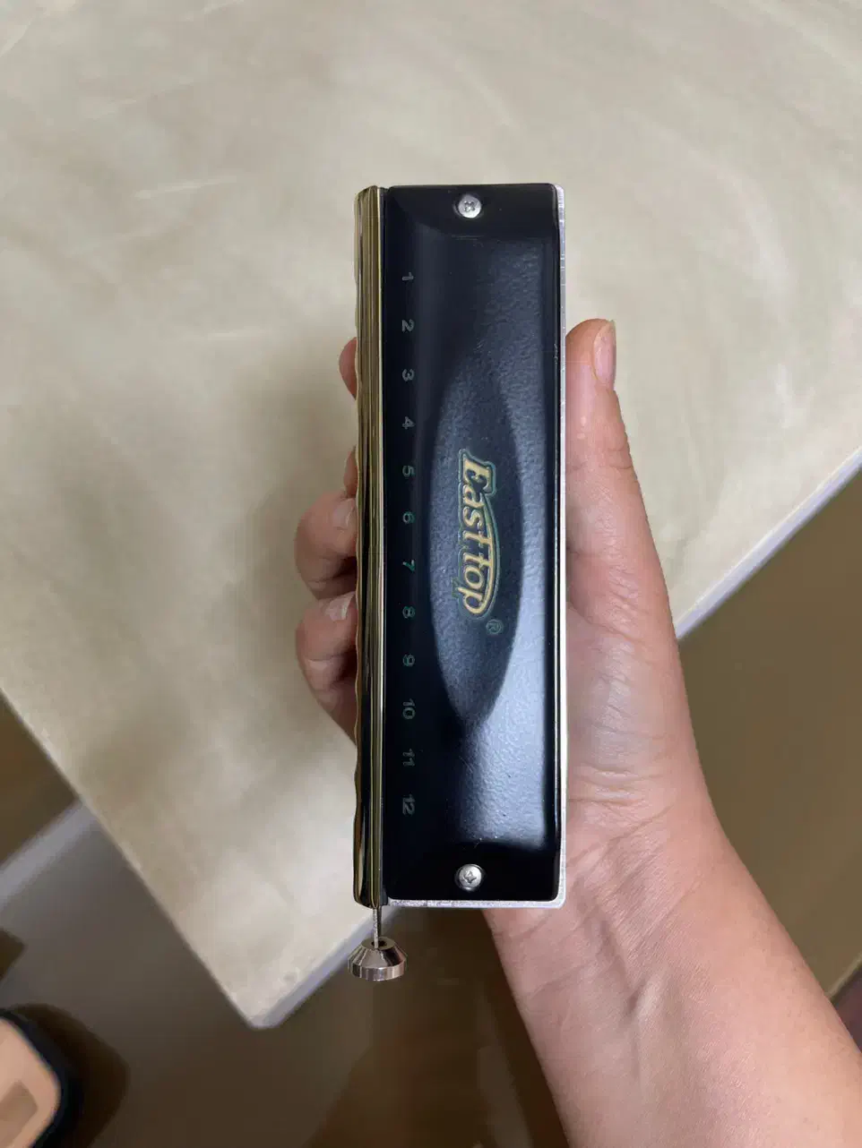 سازدهنی کروماتیک ایستاپ|سازهای بادی|قزوین, |دیوار