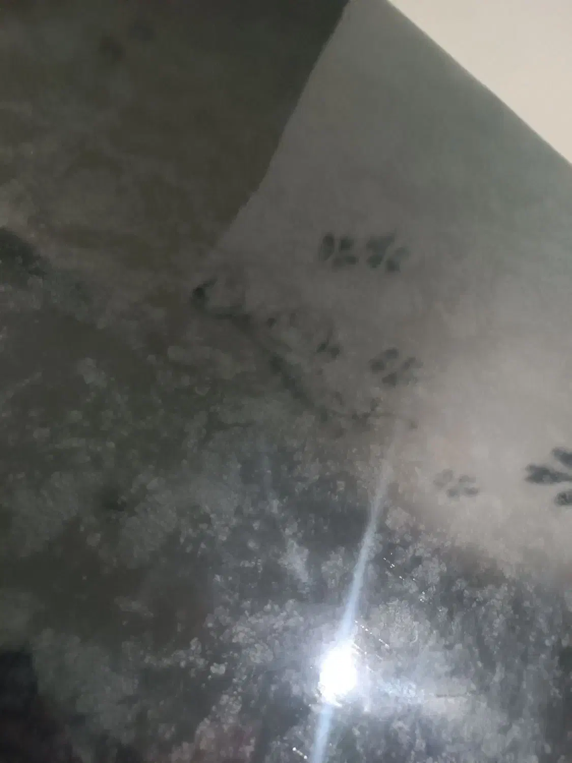 تخت ماساژ حرفه ای|آرایشگاه و سالنهای زیبایی|ملارد, |دیوار