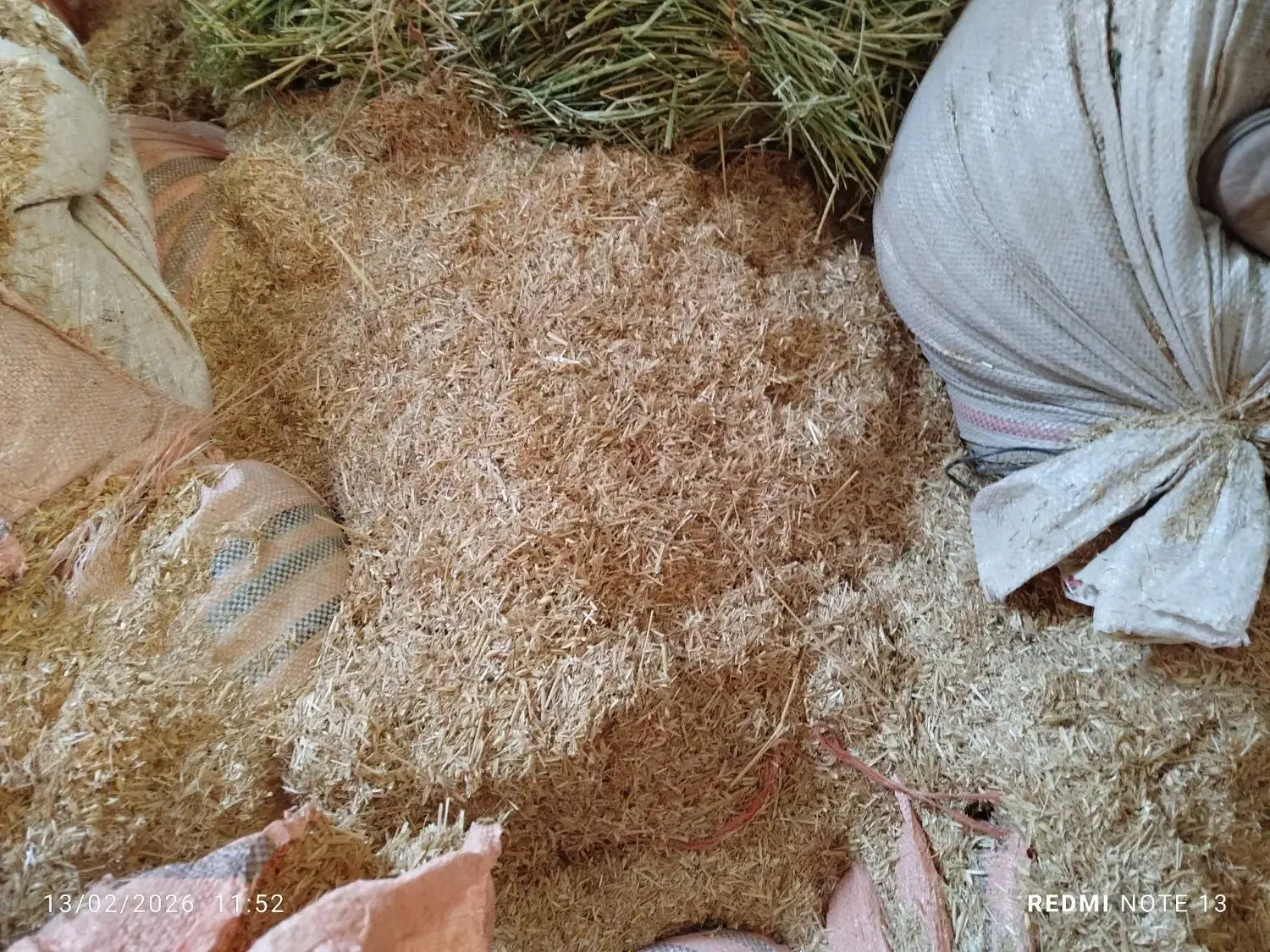 کاه گندم 18|لوازم جانبی حیوانات|فاروج, |دیوار