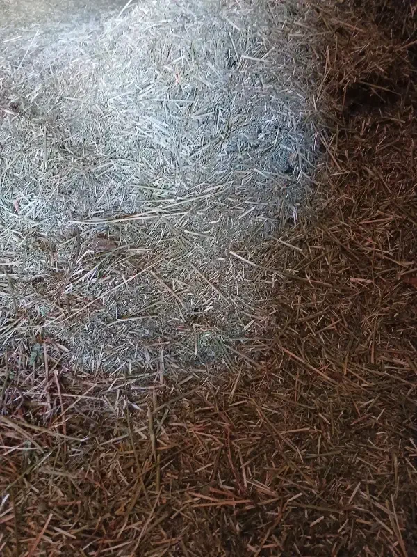 یونجه قالبی و خرمنکوب شده چین چهار پر گل|عمدهفروشی|صحنه, |دیوار