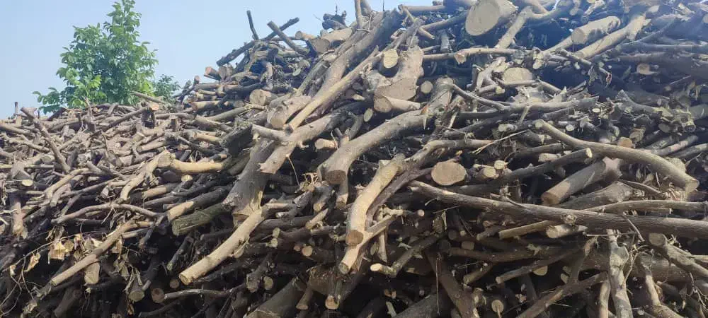 چوب سیب|خدمات باغبانی و درختکاری|شیروان (خراسان), |دیوار