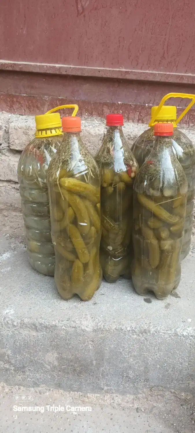 خیارشورمحلی تردوخوشمزه|خوردنی و آشامیدنی|تربت‌حیدریه, بالا ولایت|دیوار