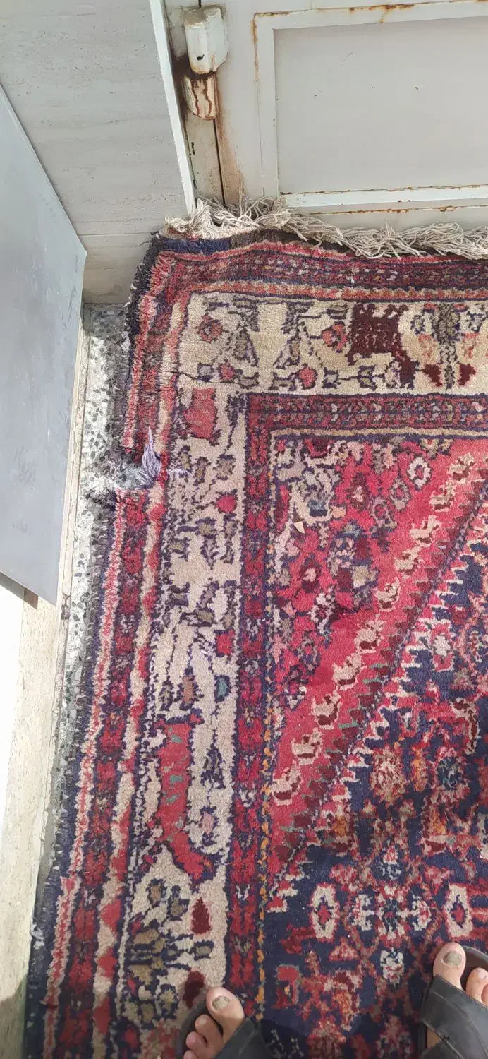 قالی دست بافت|فرش|قم, علی آباد سعدگان|دیوار