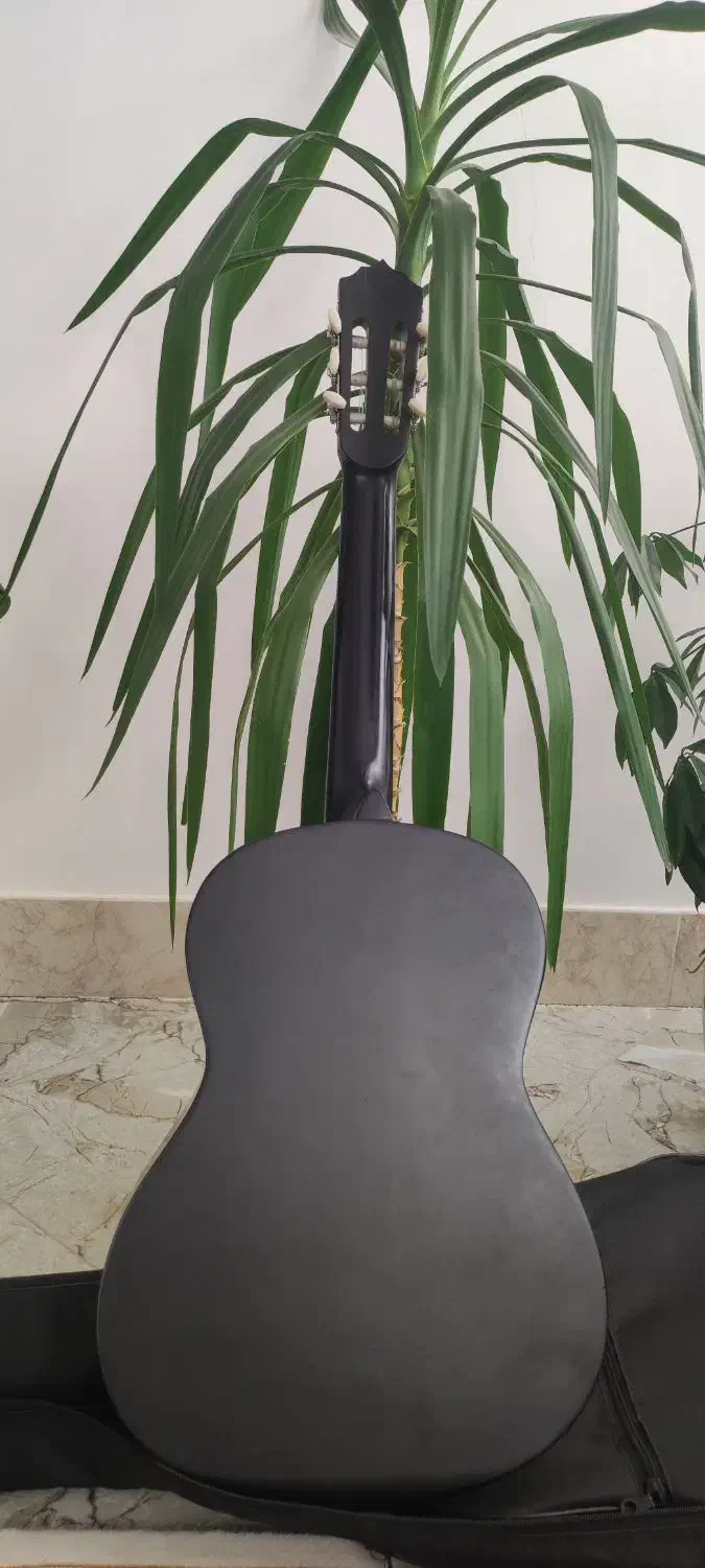 گیتار matapoor|گیتار، بیس، امپلیفایر|زبرخان, |دیوار