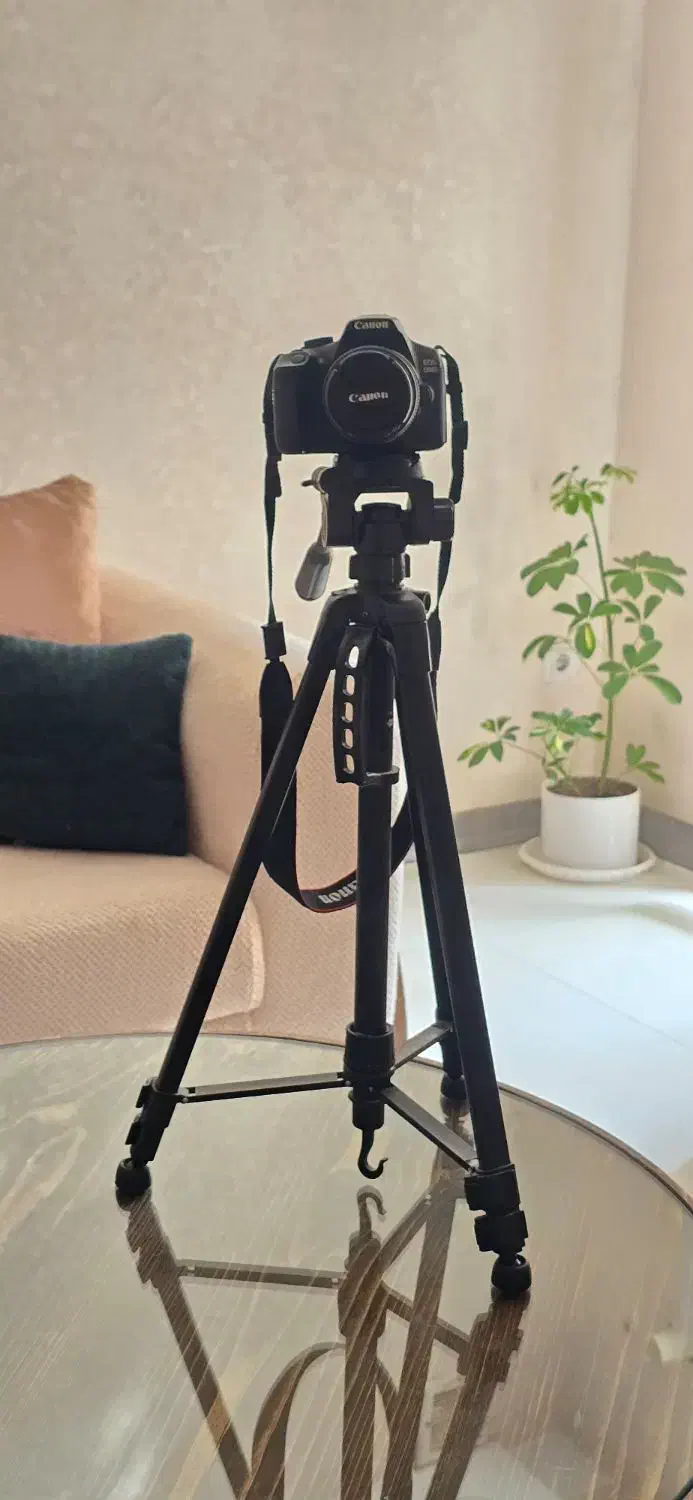 دوربین  عکاسی و فیلمبرداری برداری کنون  ۱۳۰۰d|دوربین عکاسی و فیلم‌برداری|شیراز, عادل آباد|دیوار