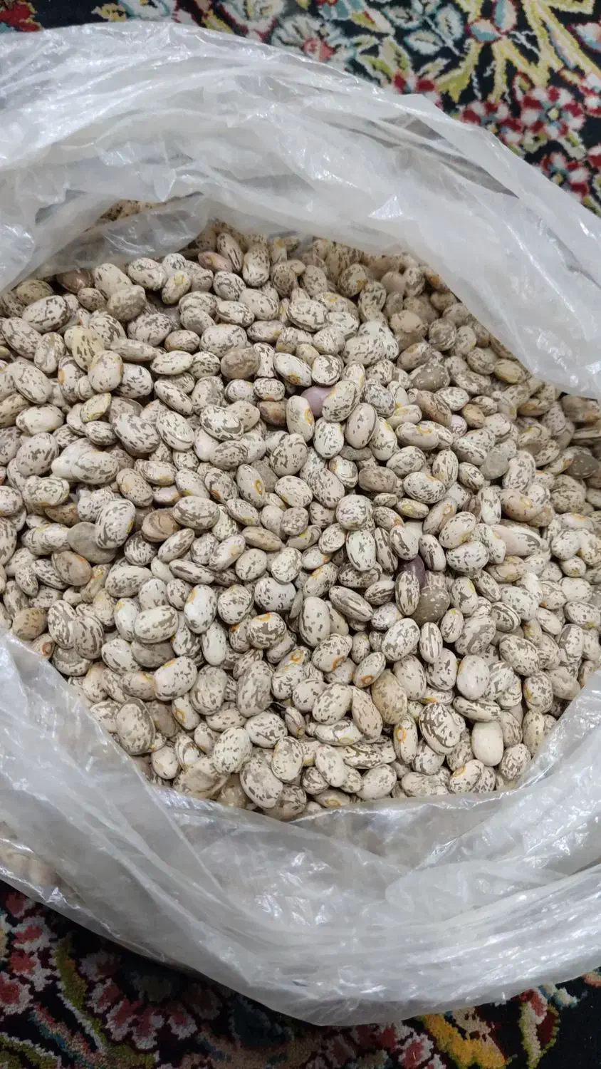 لوبیا چیتی بوجاری شده خوش پخت|خوردنی و آشامیدنی|دره شهر, |دیوار