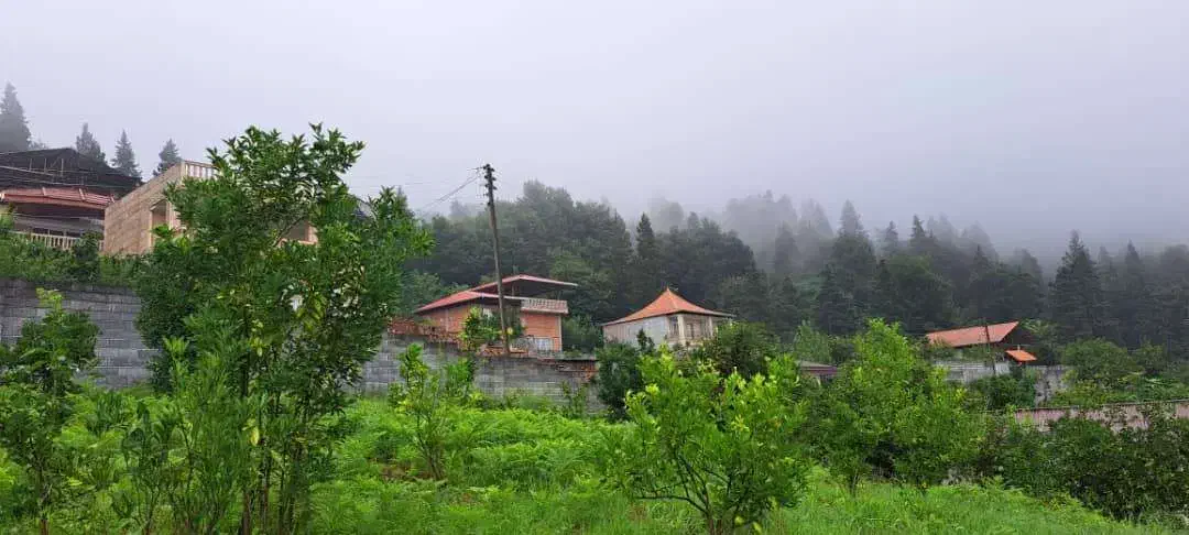 ۷۰۰۰ متر زمین سند دار تفکیک شده با پروانه ساخت|فروش زمین و ملک کلنگی|مرزیکلا, |دیوار