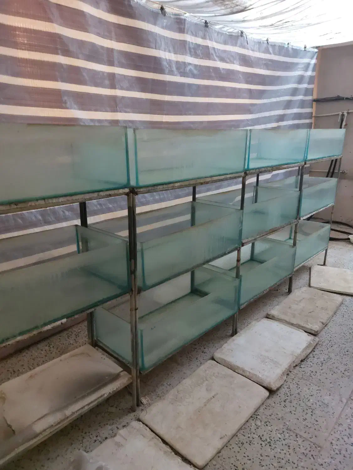 فروش آکواریم سالنی|ماهی|ورامین, ورامین|دیوار