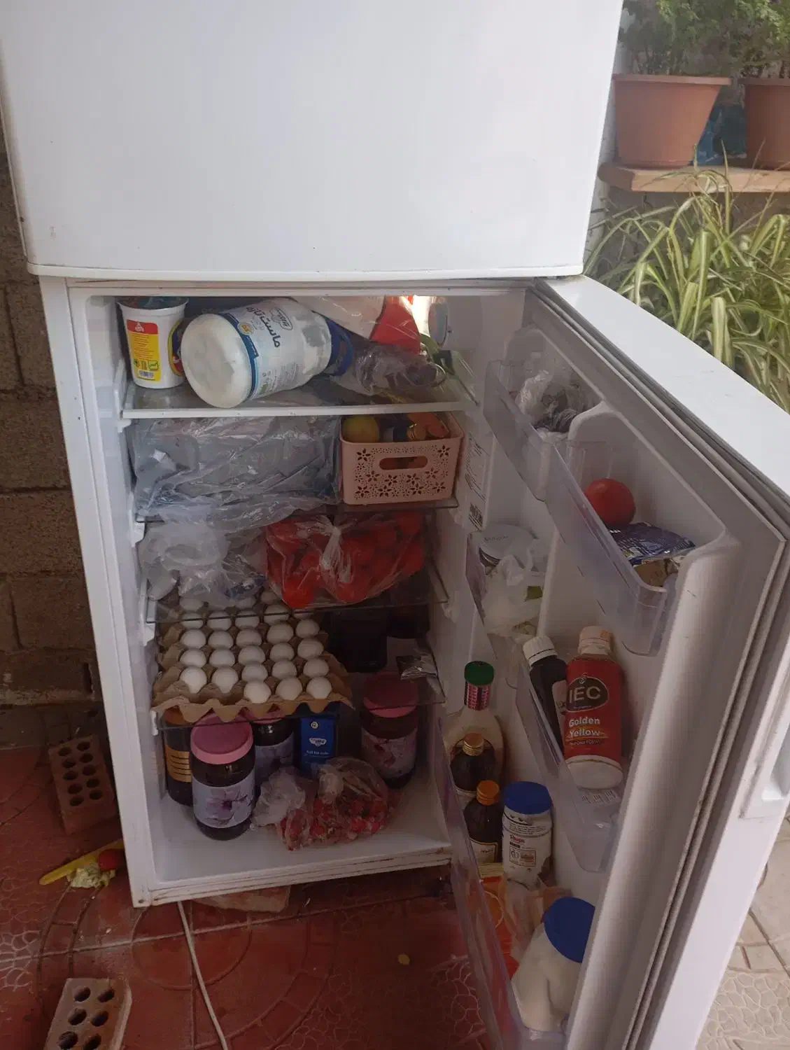 خرید یخچال های موتور سوخته و اوراقی|خدمات پیشه و مهارت|گرگان, |دیوار