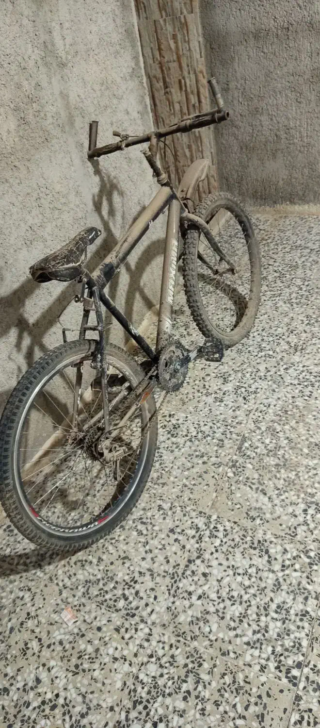 دوعدد دوچرخه|دوچرخه، اسکیت، اسکوتر|ایلام, |دیوار