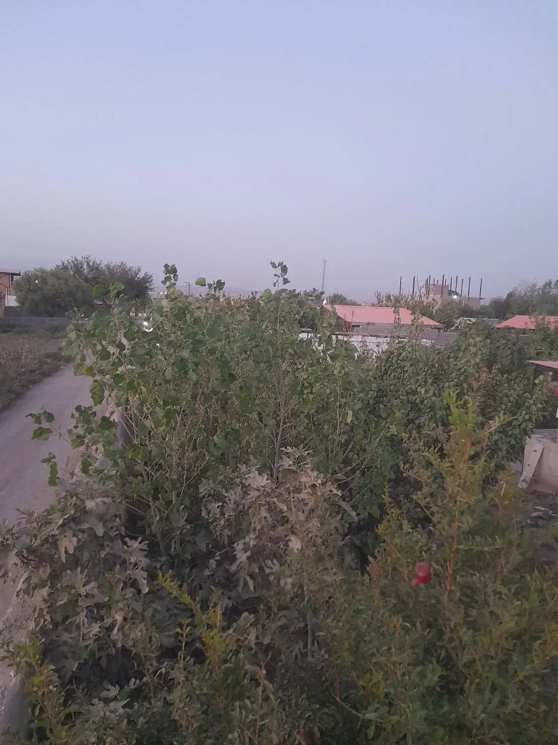 باغ ویلا پاکدشت قرمزتپه|فروش خانه و ویلا|شریف‌آباد, |دیوار