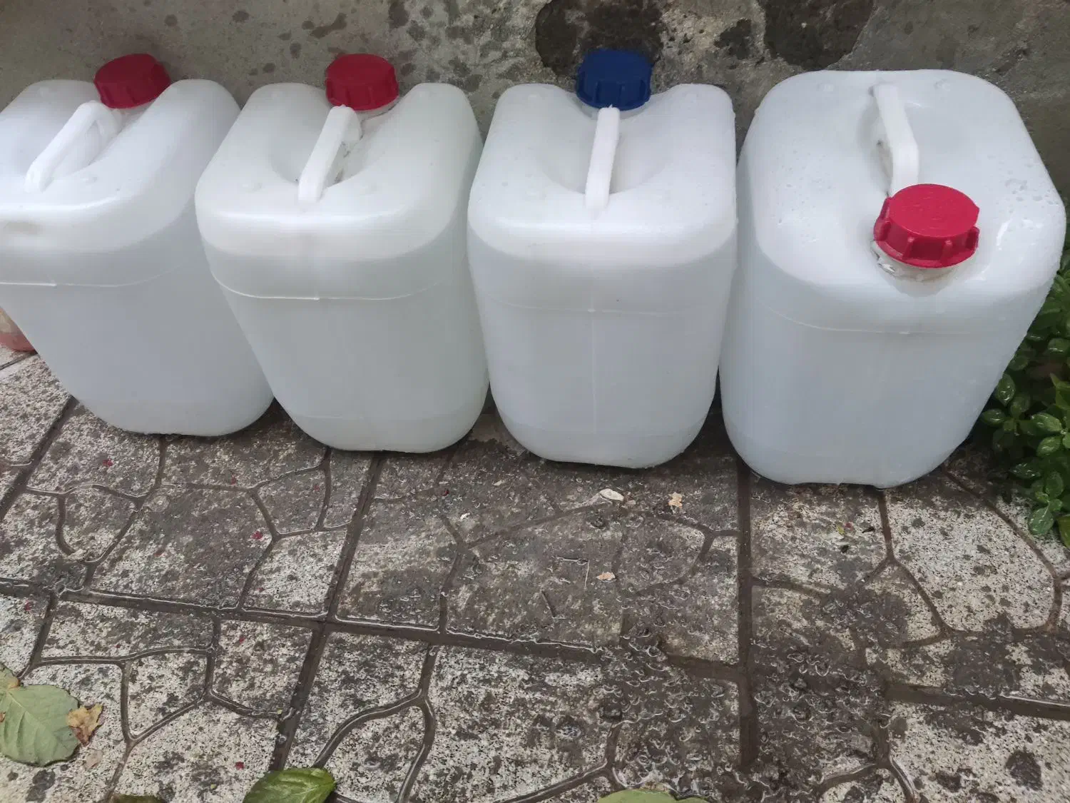 دبه ۲۰ لیتری|ظروف نگهدارنده، پلاستیکی، یک‌بارمصرف|تبریز, |دیوار