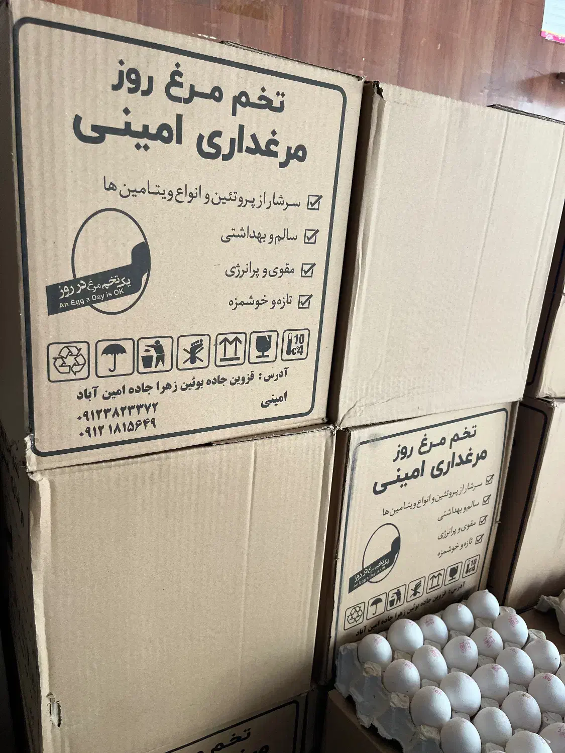 پخش تخم مرغ ممتاز|خوردنی و آشامیدنی|قزوین, |دیوار