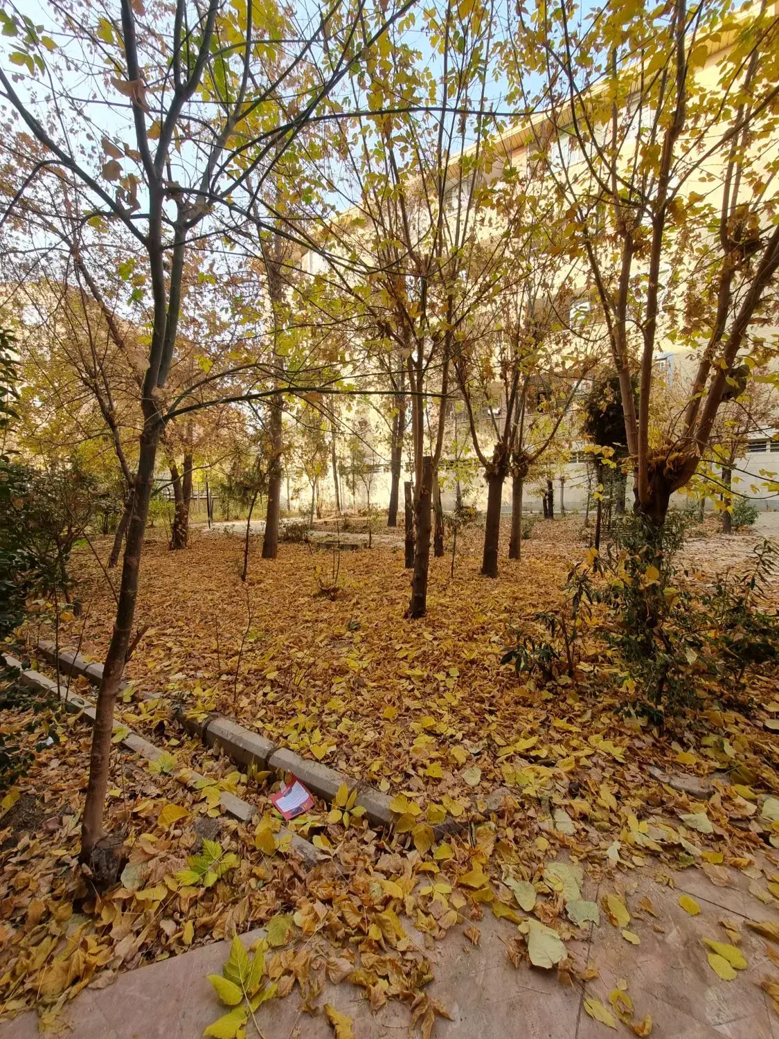 خط دائمی ۹۱۲.با کد صفر|سیمکارت|تهران, شهرک غرب|دیوار