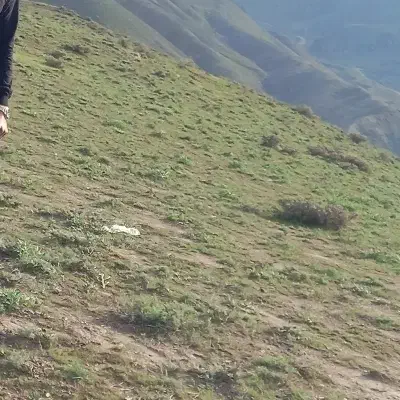 زمین ۲۰۰ متری داخل بافت روستا گلک|فروش زمین و ملک کلنگی|چناران, |دیوار