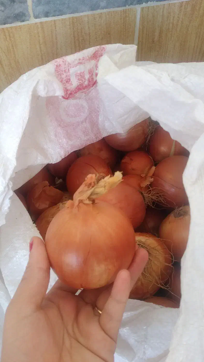 پیاز تازه به قیمت مناسب|خوردنی و آشامیدنی|قشلاق دشت, |دیوار