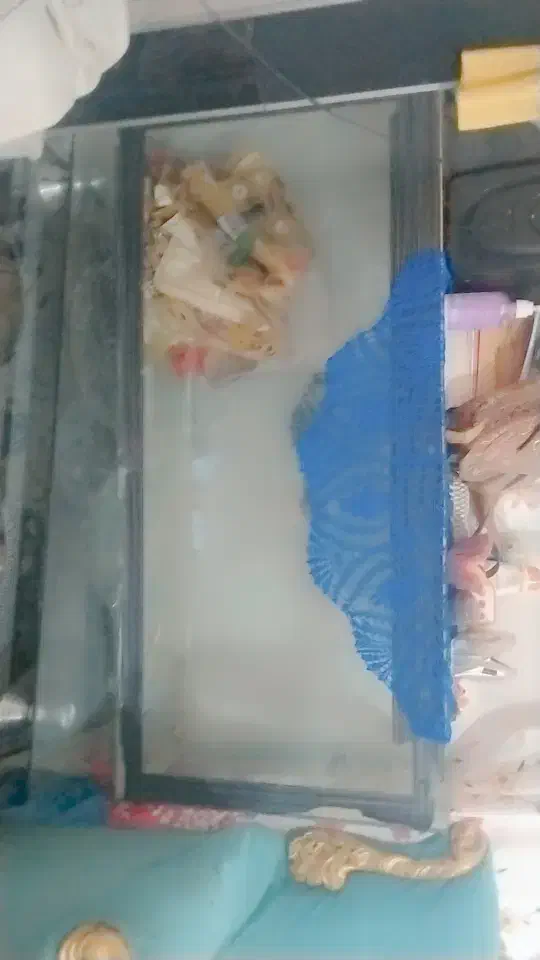 آکواریوم بزرگ سالم|ماهی|گلبهار, شهر جدید گلبهار|دیوار