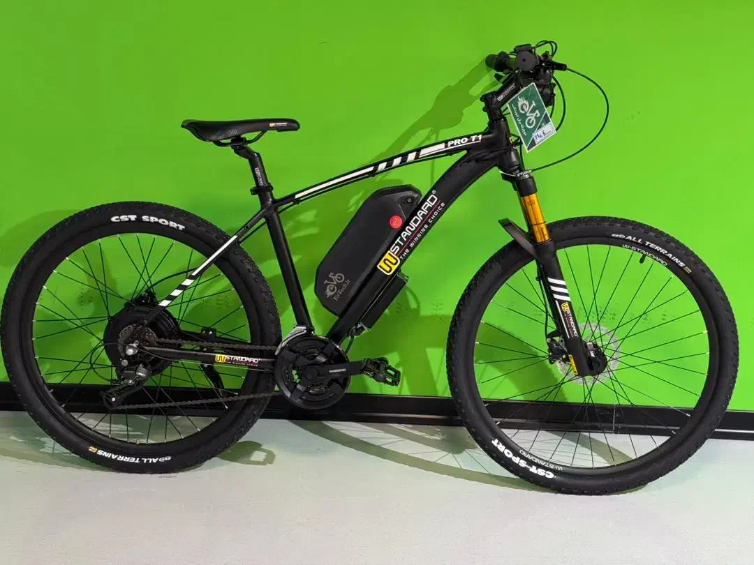 دوچرخه برقی قدرتمند با گارانتی|دوچرخه، اسکیت، اسکوتر|تبریز, |دیوار