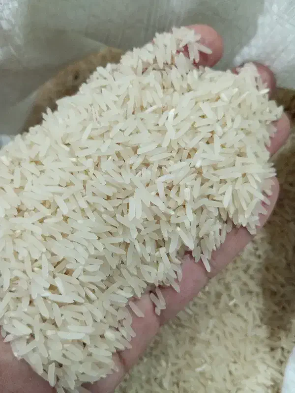 برنج‌فجر‌سوزنی‌90روزه|خوردنی و آشامیدنی|خان ببین, |دیوار