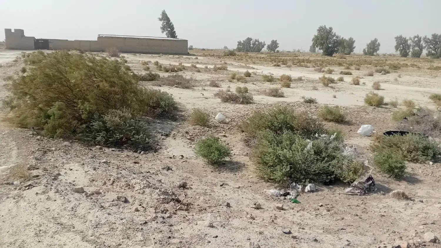 زمین دارای سندتک برگ|فروش زمین و ملک کلنگی|زهک, |دیوار