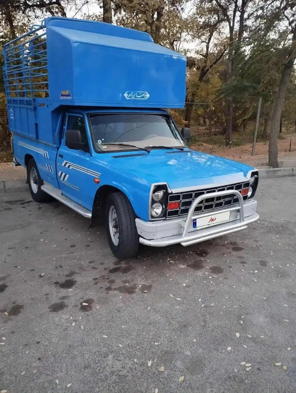 نیستان زامیاد مخصوص حمل دام زنده|خودرو سواری و وانت|اراک, |دیوار