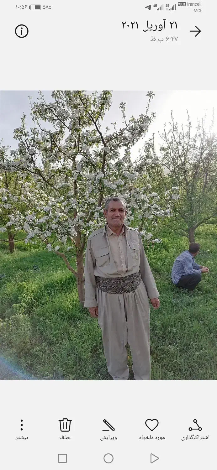 باغ سیب|فروش زمین و ملک کلنگی|سیلوانه, |دیوار