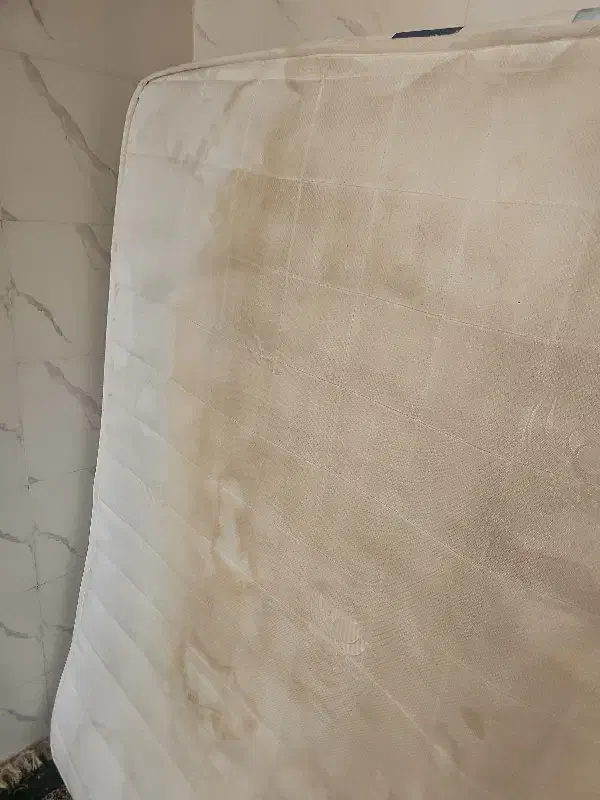 تشک طبی|تشک تختخواب|پاسارگاد, |دیوار