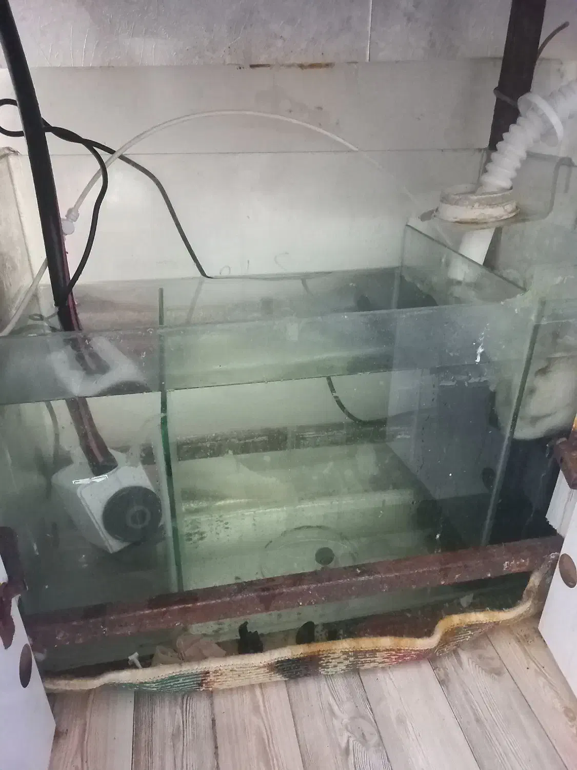 آکواریوم سامپ دار|ماهی|قرچک, مهدیه|دیوار