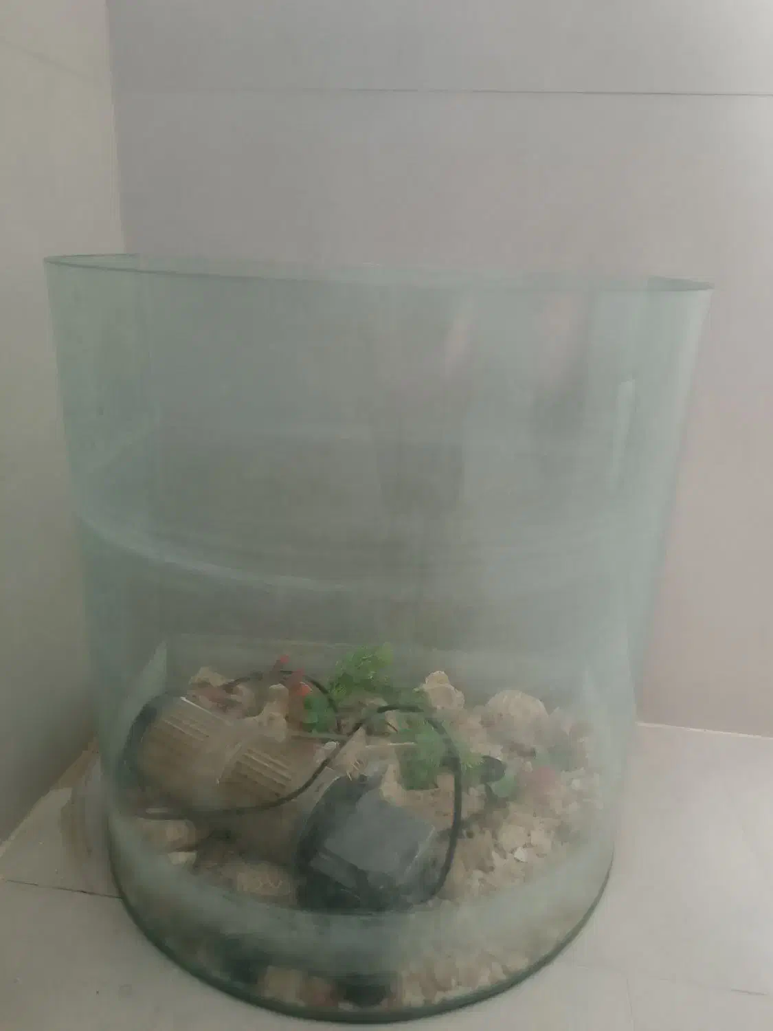 آکواریوم|ماهی|مشهد, کشف|دیوار