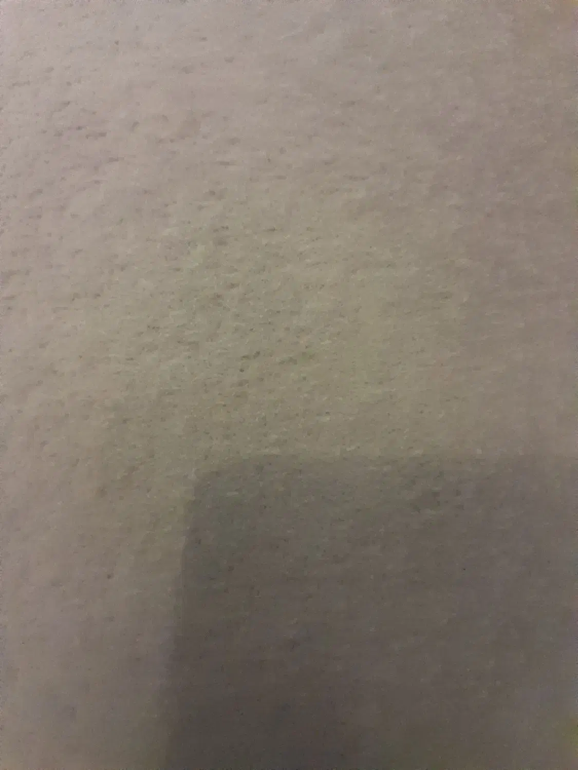 موکت|موکت|مشهد, رسالت|دیوار