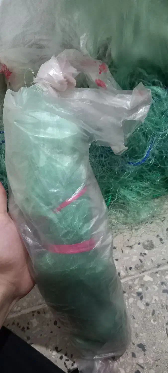 توره ماهی|ماهیگیری|اهواز, سید خلف|دیوار