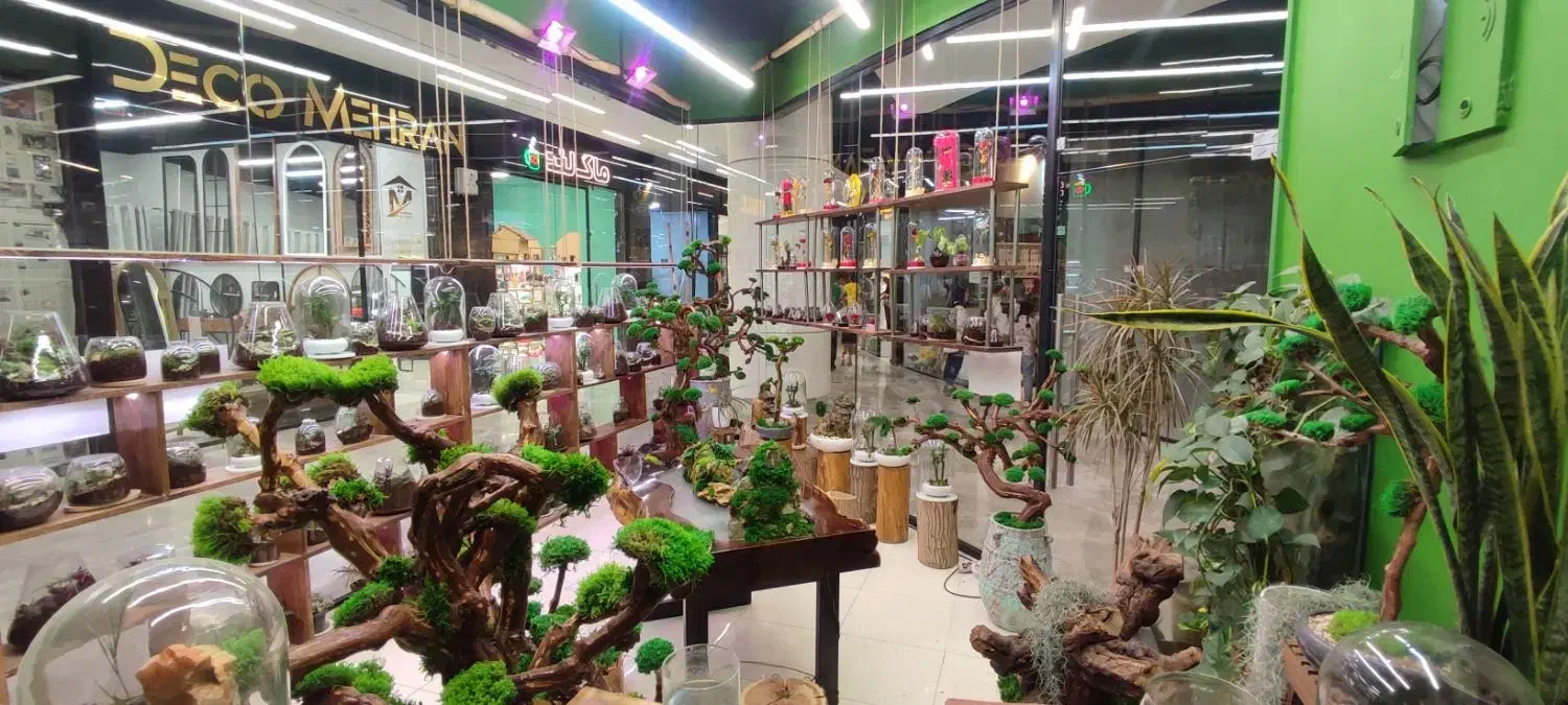 فروشنده خانوم|استخدام بازاریابی و فروش|یزد, |دیوار