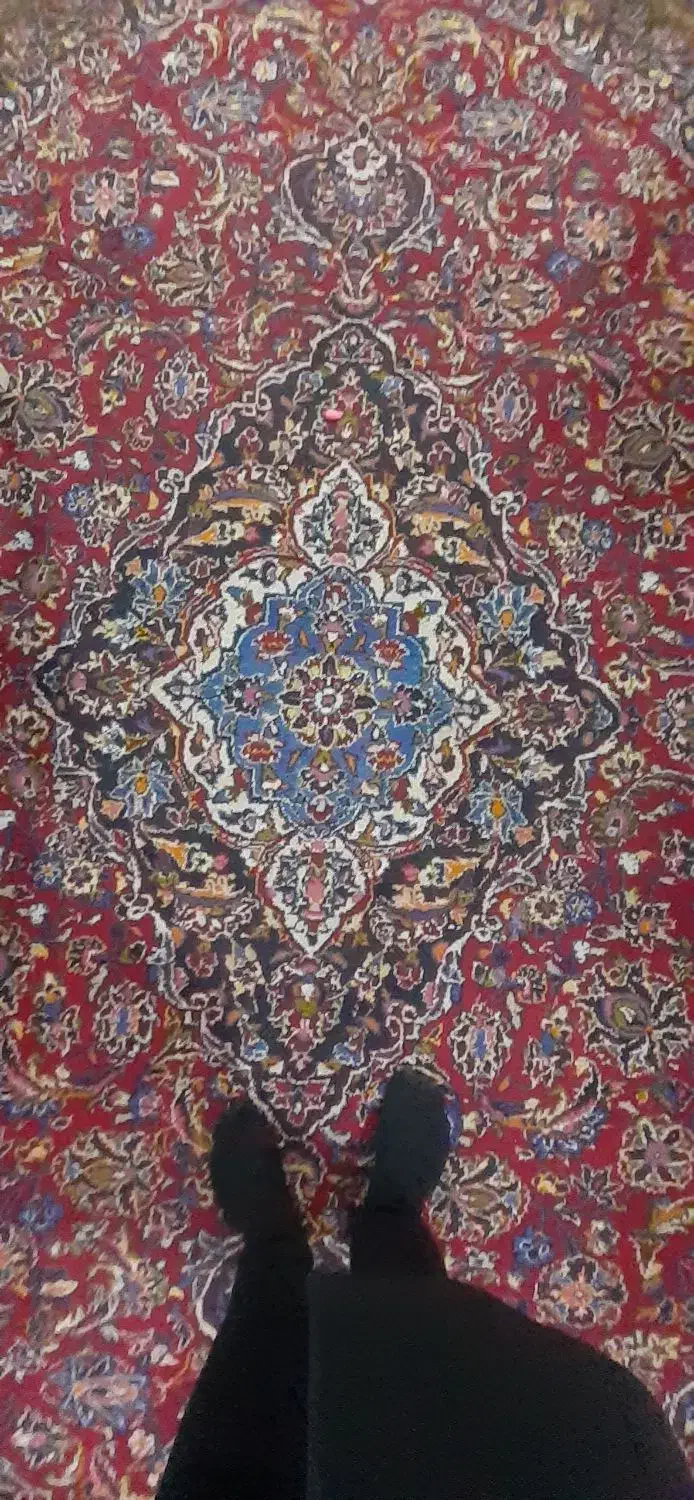 فرش دست بافت|فرش|اراک, |دیوار