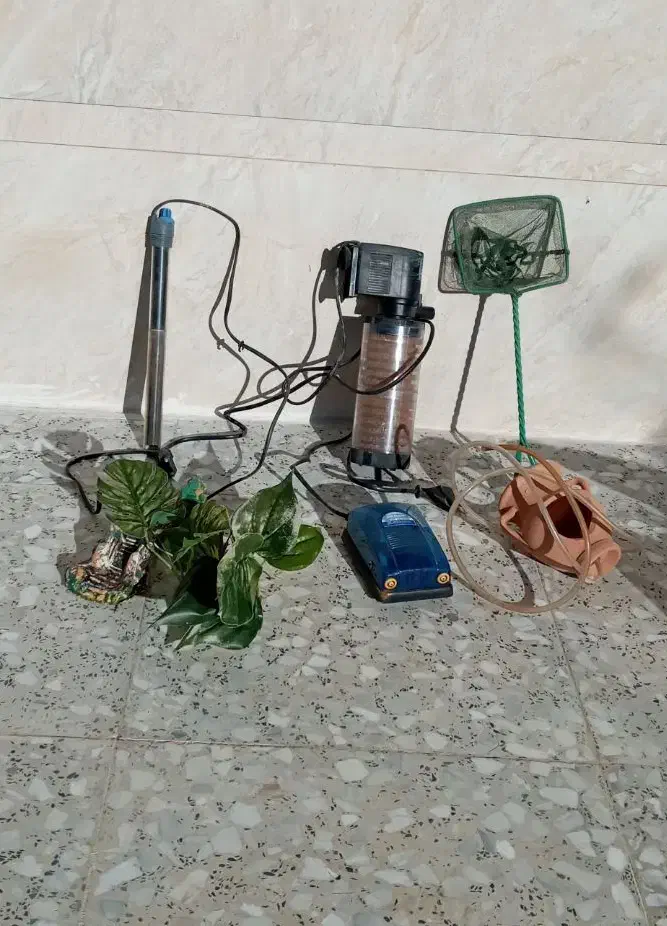 آکواریوم|ماهی|اسفرورین, |دیوار