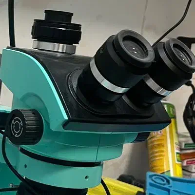 کار با گوشی|استخدام رایانه و فناوری اطلاعات|یزد, |دیوار