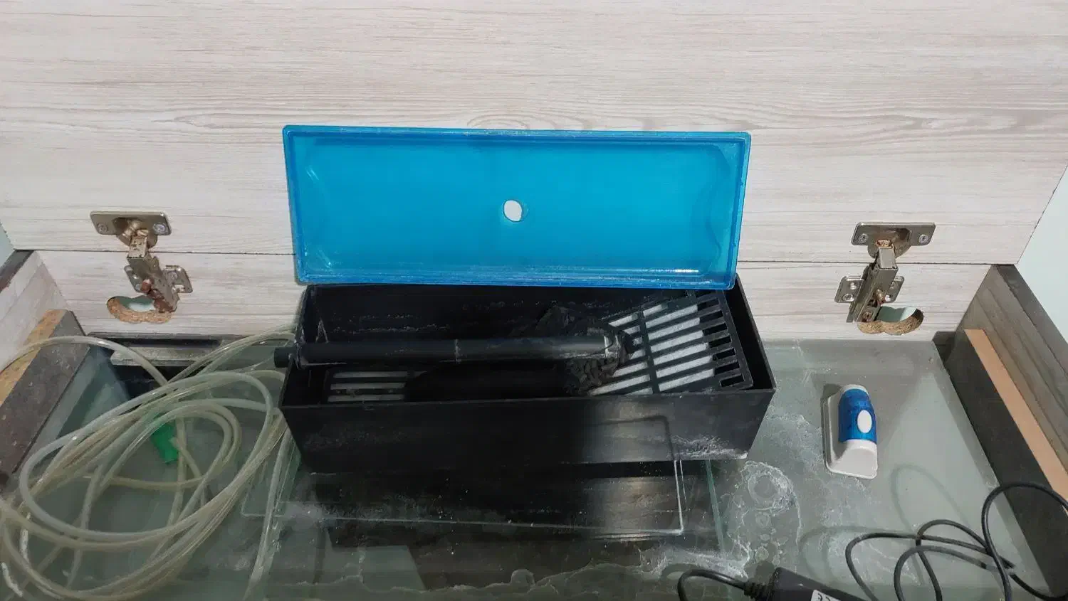 آکواریومشیشه خم|ماهی|کرج, حسینآباد|دیوار