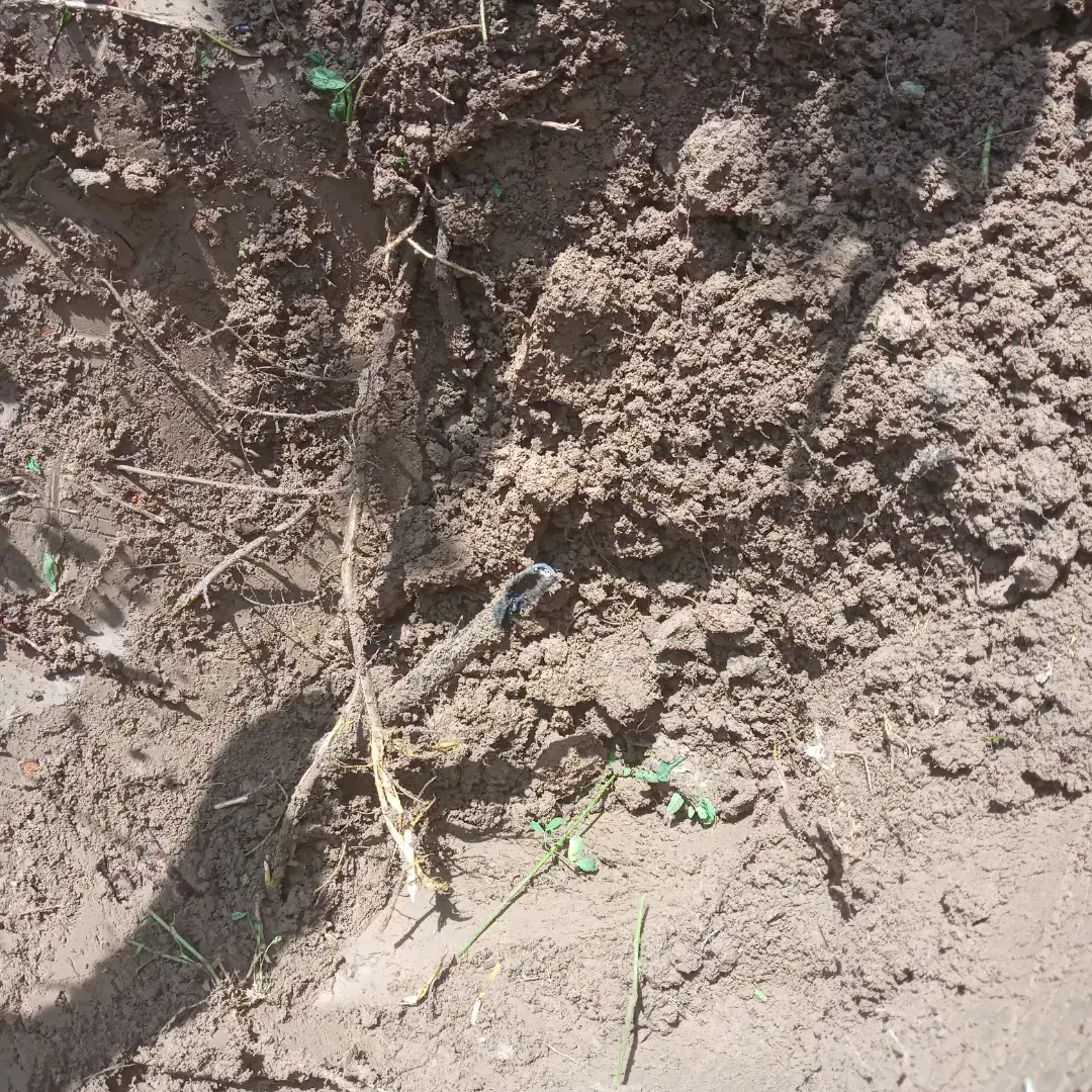 عیب یاب کابل|خدمات پیشه و مهارت|میاندوآب, |دیوار