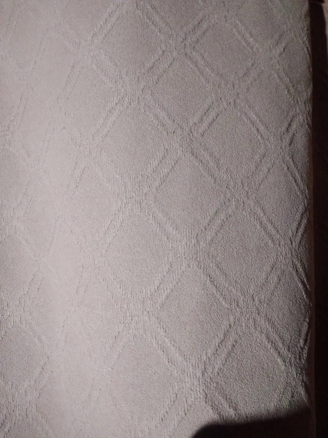 موکت|موکت|مشگین شهر, |دیوار