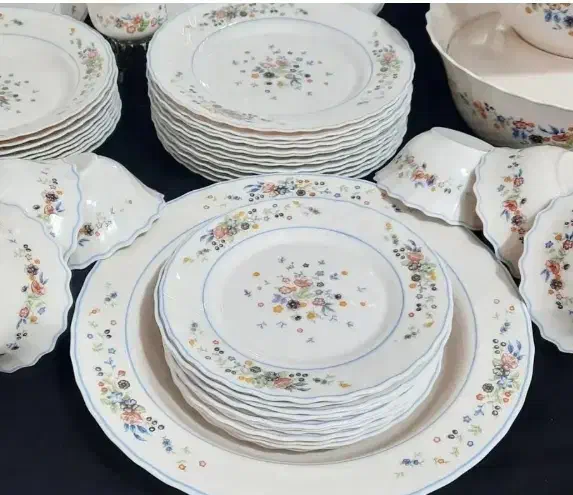 آرکوپال اصل فرانسه فیل نشان|ظروف سرو و پذیرایی|تهران, جنتآباد مرکزی|دیوار