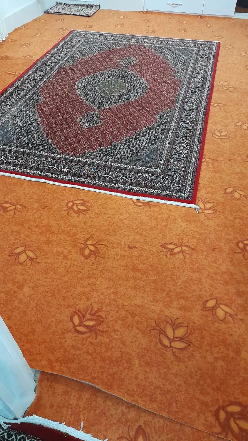 قالی و موکت|فرش|کامیاران, |دیوار